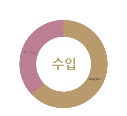 수입 : 현금후원금, 기타수입