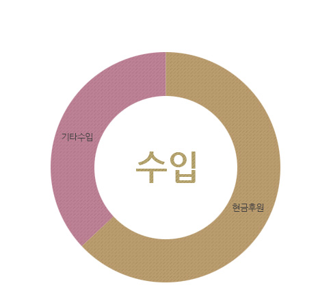 수입 : 현금후원금, 기타수입